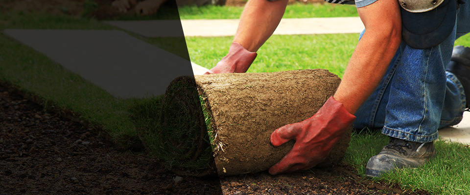 Chowchilla Landscapers